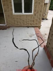 Old electrical wires ends exposed - can be unsafe (C) InspectApedia.com CadacioC