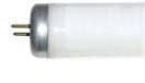 T17 fluorescent lamp from GE, using G20 Mobul bi-pin base at Inspectapedia.com