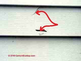 Damaged vinyl siding (C) Daniel Friedman