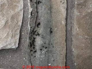 Black deposits on stone may be algae or moss (C) INspectApedia.com Heather