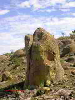 Lichens on monument stone, Las Cabras Mexico (C) Daniel Friedman