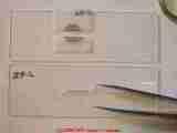 Paint Lab Photo: