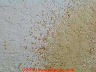 Yellow pollen stains  on exterior stucco from nearby Hibiscus flowers  (C) InspectApedia GC
