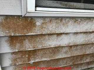Dark reddish-brown fuzzy stains on exterior siding - mold or algae (C) InspectApedia.com Stacy