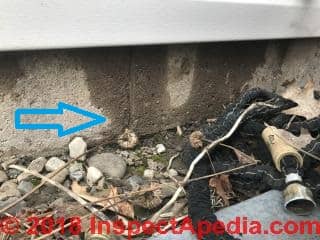 Wet area on foundation below siding may come from siding leak higher on wall (C) Inspectapedia.com JJ 