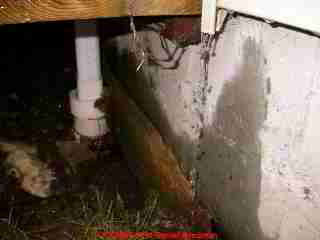 House flooding started under deck (C) Daniel Friedman