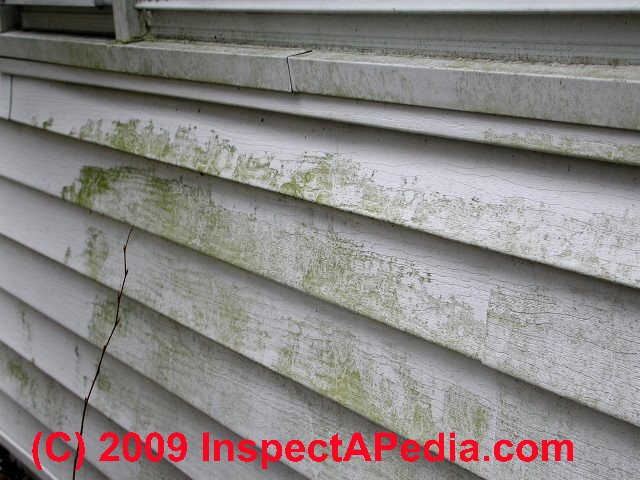 siding aluminum vinyl algae stains building buildings causes exterior fungus mildew roof paint artillery dirt growth stain shingles soot types