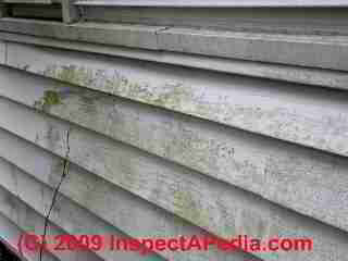 Algae growth on vinyl siding (C) Daniel Friedman