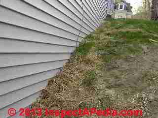 Vinyl siding buried by backfill invites wood destroying insects (C) Daniel Friedman