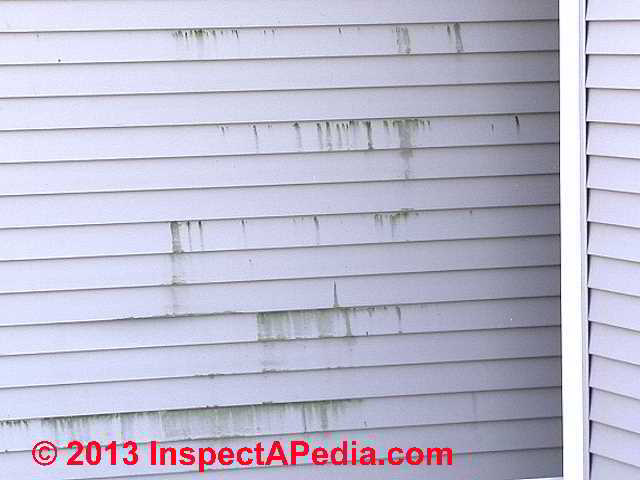 Causes of Vinyl Siding Stains, Algae, Lichens, Soot, Other Markings