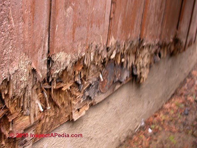 29 Popular Repair exterior wall water damage Info