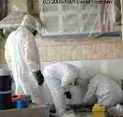 Environmental cleanup crew at work