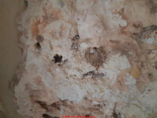 Chrysotile or amosite asbestos may be in old limestone wall coating (C) InspectApedia.com M