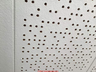 1978 ceiling tiles, perforasted, in New Zealand- asbestos? (C) InspectApedia.com Laura