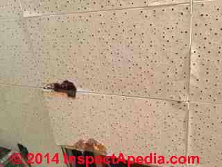 FRF Ceiling tiles 12 x 24 inch asbestos? (C) InspectApedia SP