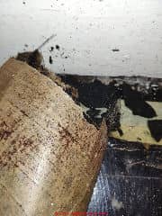 asbestos risk in antique sheet flooring, Kent England (C) InspectApedia.com (C) InspectApedia.com Michael