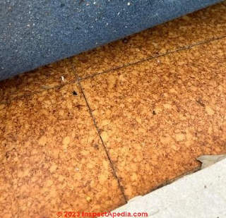 asbestos suspect floor tiles (C) InspectApedia.com Angelique