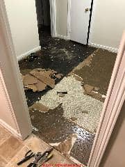 Asbestos floor tile and sheet flooring during demolition (C) Inspectapedia.com reader
