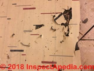 Sheet flooring probable asbestos in felt backer (C) InspectApedia.com Anon