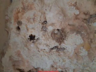 Effloresence on a masonry wall in Malta (C) InspectApedia.com M