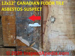 Asbestos suspect 12x12 inch Canadian floor tile (C) InspectApedia.com Hackett