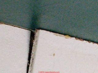 Possible asbestos in ceiling tiles (C) INspectApedia.com Cheri Hofstater