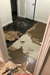 Messy demolition of asbestos-suspect flooring (C) InspectApedia.com Carrie