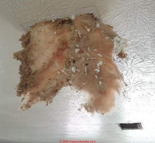 Fiberglass insulation with drywall scraps, not asbestos   (C) InspectApedia.com Tim