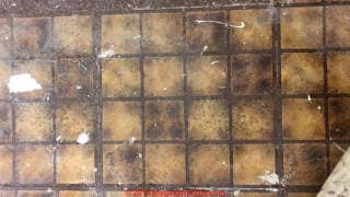 Vinyl floor tile 12x12 may contain asbestos (C) Inspectapedia.com Curtis