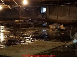 Sewage contaminated crawl area (C) InspectApedia.com VG13
