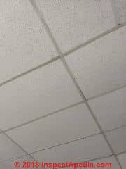 Suspended ceiling tile dropping fragments (C) InspectApedia.com XT