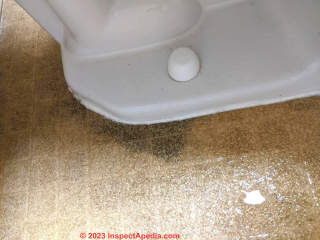 flooring damage next to toilet due to water (C) InspectApedia.com Cyd