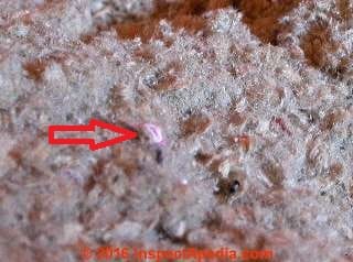 Close-up view of paper fragments in cellulose insulation (C) Daniel Friedman