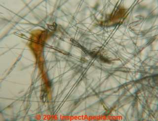Mineral wool or  "rock wool" slag wool or stone wool under the microscope: Gold Bond rock wool (C) Daniel Friedman