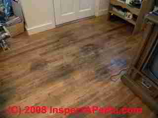 Pet urine stains on a hardwood floor © Daniel Friedman