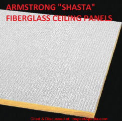 Armstrong Shasta fiberglass ceiling tiles with a plastic surface, typically used in suspended or 