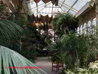 Greenhouse in Barri Gotic Barcelona (C) Daniel Friedman