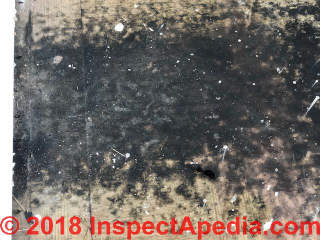 Black stuff under carpet (C) InspectApedia.com Ken