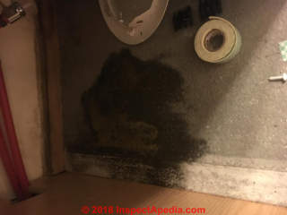 Black mold stains in kitchen cabinet (C) InspectApedia.com Mallory