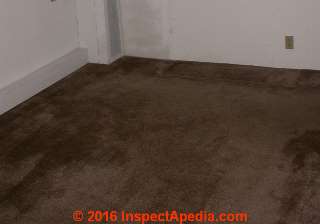 Carpet stains in rental  house 3W © D Friedman at InspectApedia.com 