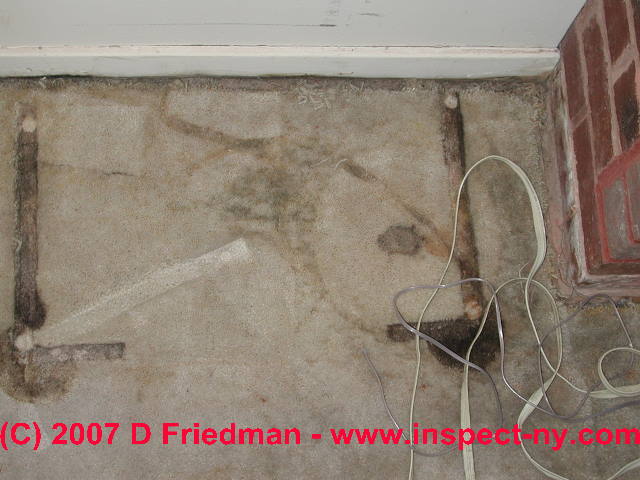 carpet mold