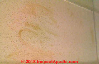 Ceiling tile stains (C) InspectApedia.com Amanda