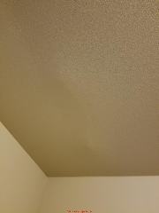 Ceiling damage may be from loading or leaks (C) InspectApedia.com Ng