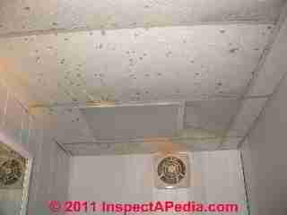 Suspended ceiling tile mold © D Friedman at InspectApedia.com 