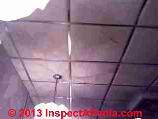 2x2 foot suspended ceiling tiles with leak stains © Daniel Friedman
