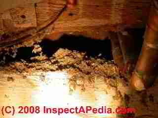Cellulose building insulation blown in to walls shows up at the sills
