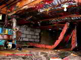 Horrible crawl space insulation and moisture (C) Daniel Friedman