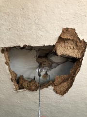 Fiberboard layer of ceiling in an old Catskilll NY home (C) InspectApedia.com AR