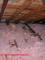 Chopped fiberglass insulation in a modern attic