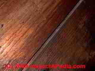 Shiplap board joint © Daniel Friedman